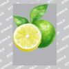 UltraColour Pro A5 Heat Transfer Thumbnail
