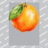 UltraColour Pro A5 Heat Transfer Thumbnail