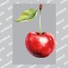 UltraColour Pro A4 Heat Transfer Thumbnail