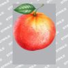 UltraColour Pro A4 Heat Transfer Thumbnail