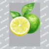 UltraColour Pro A4 Heat Transfer Thumbnail