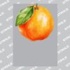 UltraColour Pro A4 Heat Transfer Thumbnail
