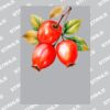 UltraColour Pro A4 Heat Transfer Thumbnail
