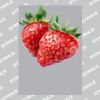 UltraColour Pro A4 Heat Transfer Thumbnail