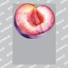 UltraColour Pro A3 Heat Transfer	 Thumbnail