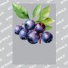 UltraColour Pro A3 Heat Transfer	 Thumbnail