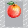 UltraColour Pro A3 Heat Transfer	 Thumbnail