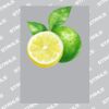 UltraColour Pro A3 Heat Transfer	 Thumbnail