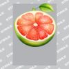 UltraColour Pro A3 Heat Transfer	 Thumbnail