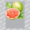 UltraColour Pro A3 Heat Transfer	 Thumbnail