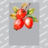 UltraColour Pro A3 Heat Transfer	 Thumbnail