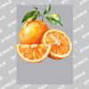 UltraColour Pro A3 Heat Transfer	 Thumbnail